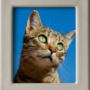 Pravougaonik sa rubom